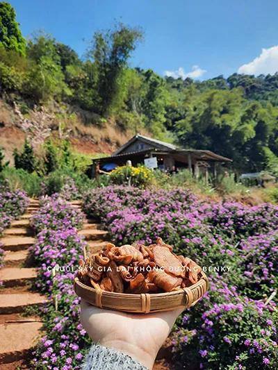 [0.5Kg] Chuối sấy giòn không đường Gia Lai